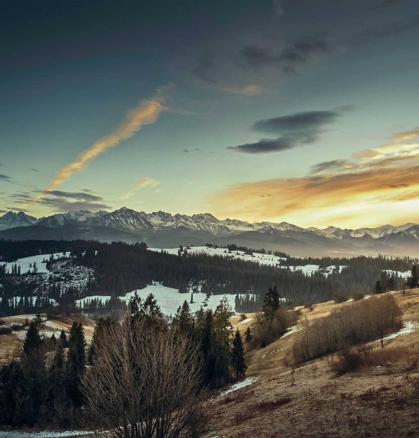 Unauth title ztsCaTBb